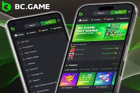 Comprehensive Guide to BC.Game Support Services -1171754417