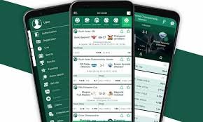 Experience the Thrills of BetWinner Aviator Game