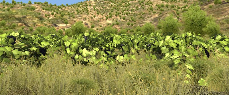 Migliore spinwinera a Italy